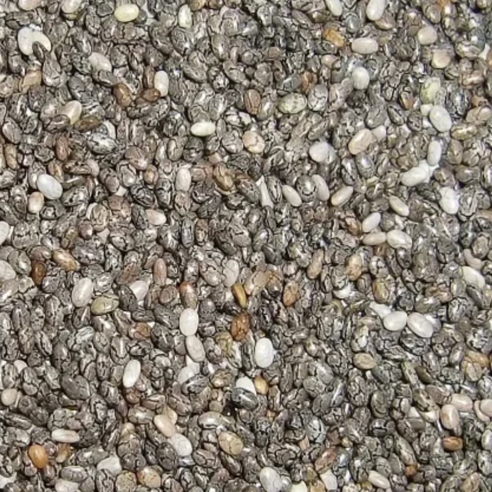 Chia Zaad - Afbeelding 2