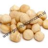 macadamia